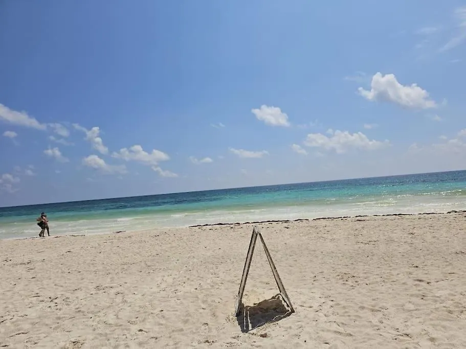 Giada 201 Jungle View Cozy 1Br W Rooftop Pool Tulum