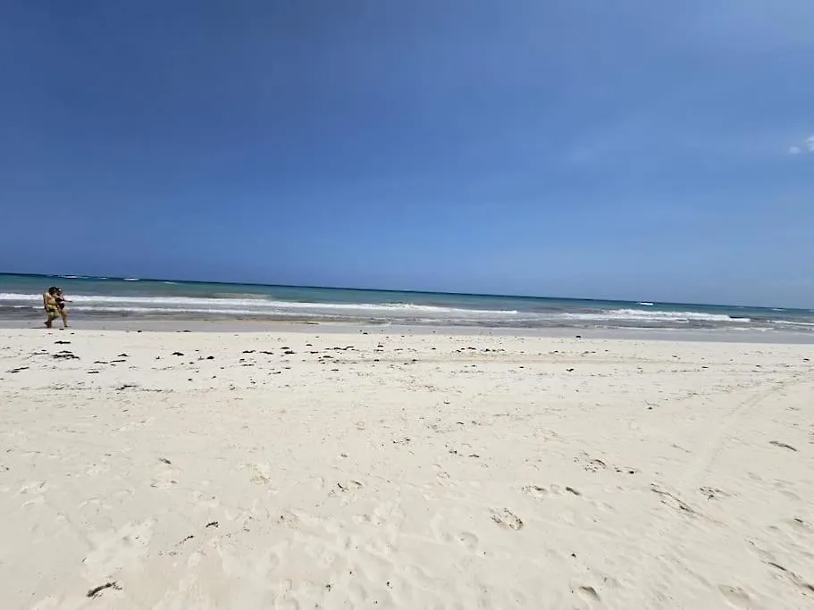 Apartment Giada 201 Jungle View Cozy 1Br W Rooftop Pool Tulum