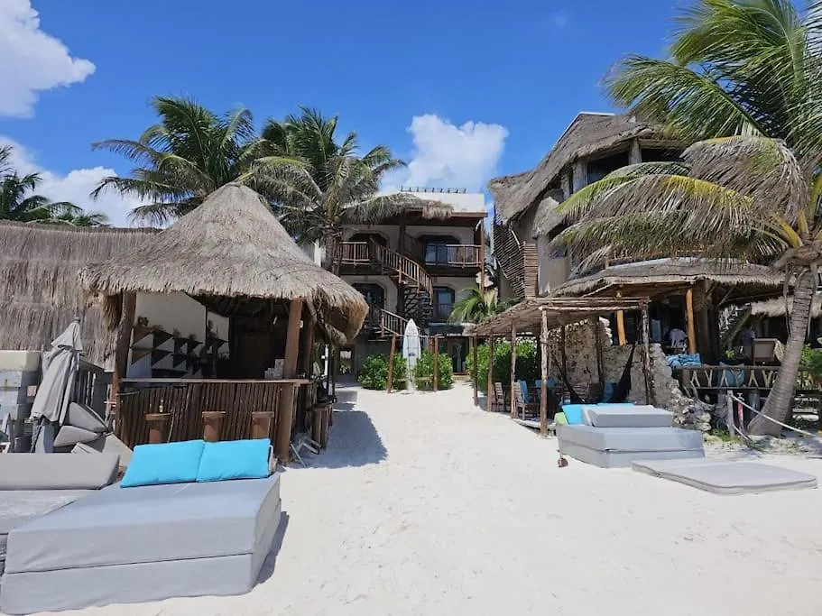 Giada 201 Jungle View Cozy 1Br W Rooftop Pool Tulum Mexico