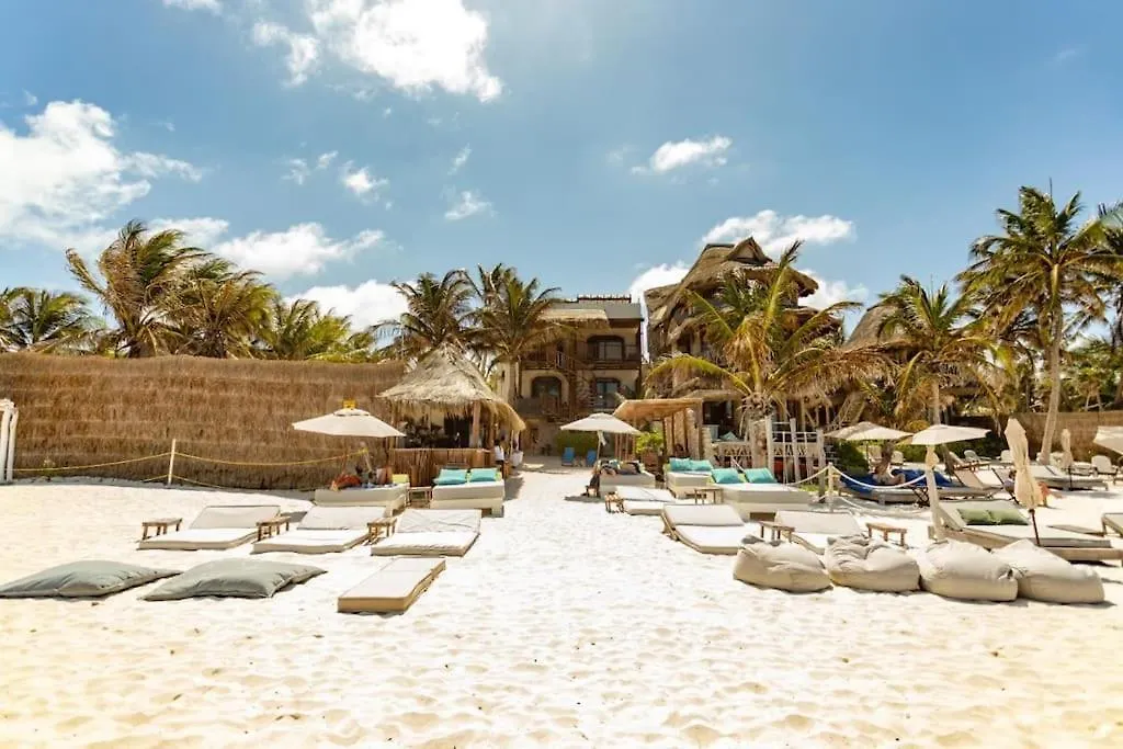 Giada 201 Jungle View Cozy 1Br W Rooftop Pool Tulum Mexico